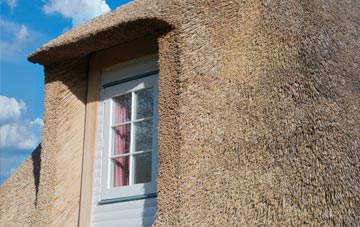 Bathway thatch roof disadvantages